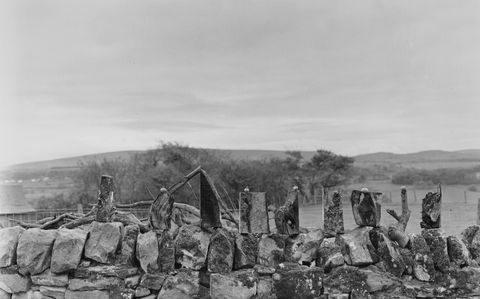Black and white photograph. At least six tomatoes sit on some of nine vertical wooden blocks, which are lined up across a stone wall. Trees and mountains line the horizon under a sheet of clouds above.